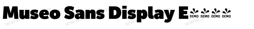 Museo Sans Display E字体转换